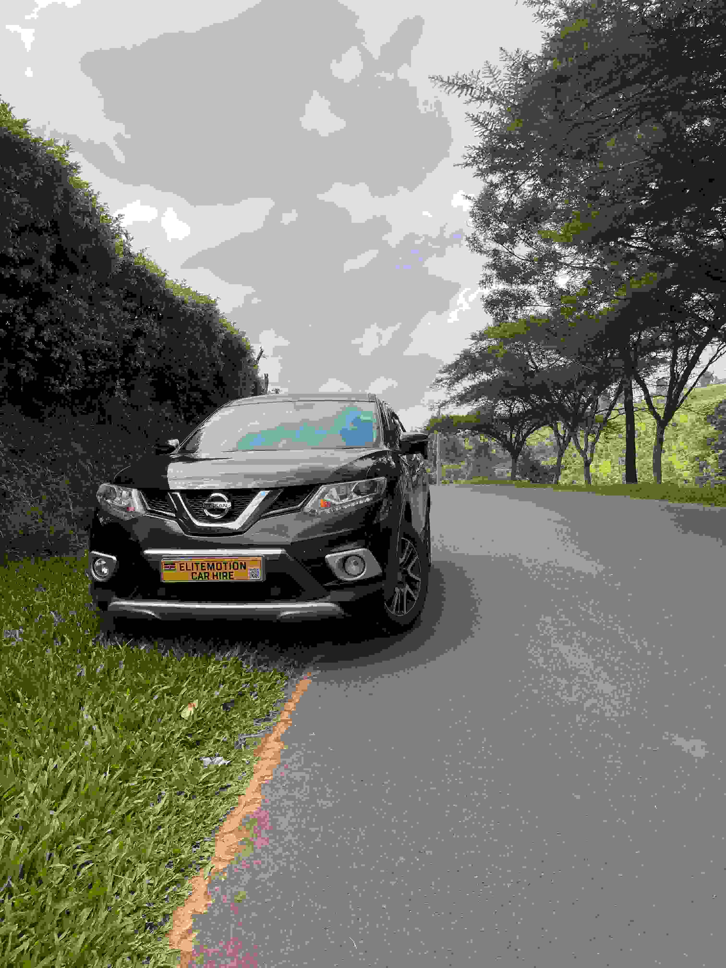 Nissan X-Trail, Sunroof view 2