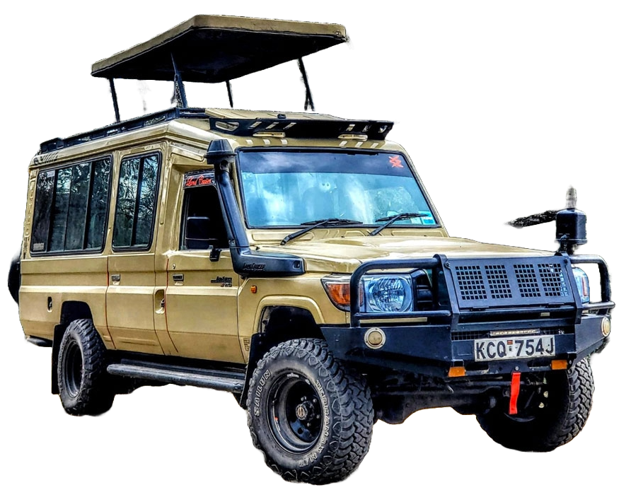 Toyota Land Cruiser Hard Top