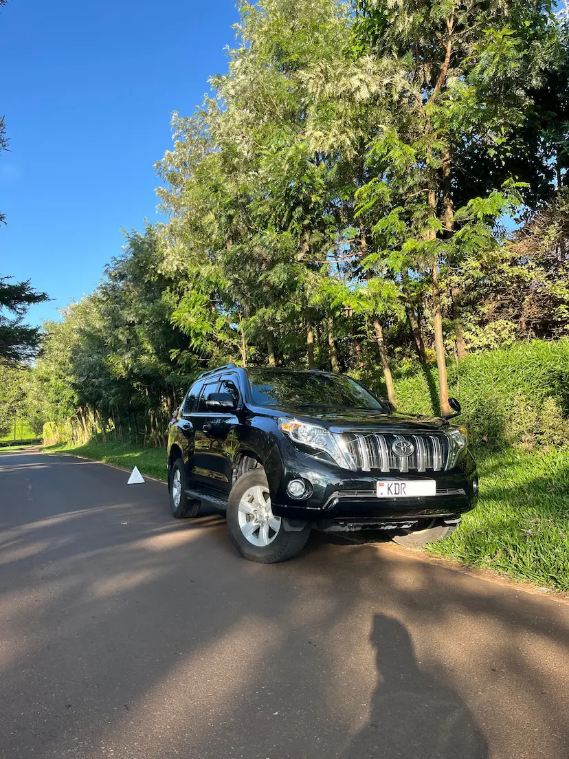 Land Cruiser J150 Prado image 2